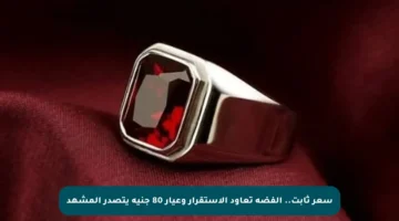 سعر ثابت.. الفضة تعاود الاستقرار وعيار 80 جنيه يتصدر المشهد